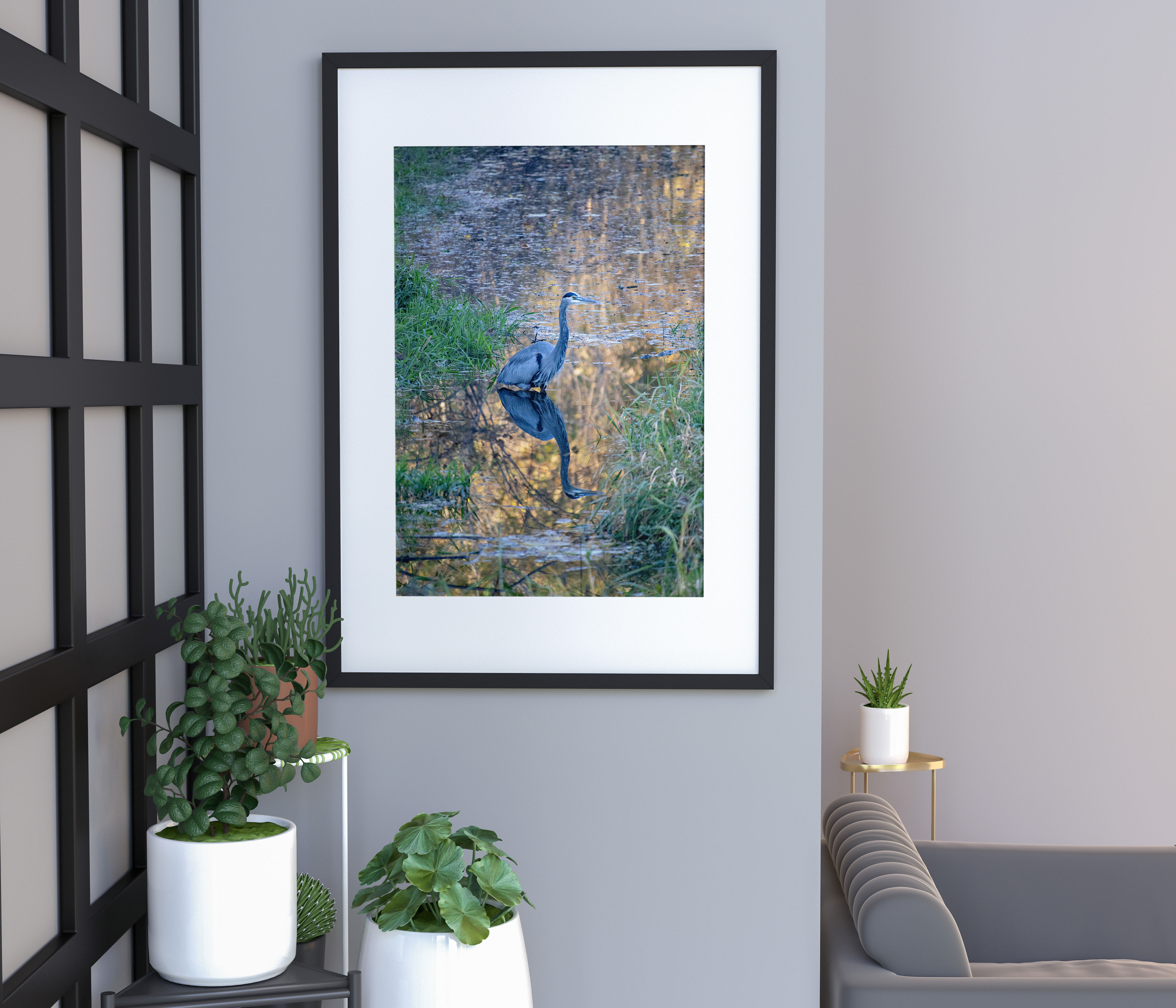 Great Blue Heron