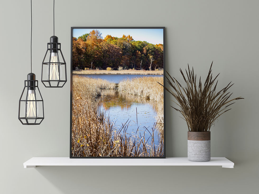 Thumbnail: Aylum Lake Reflection