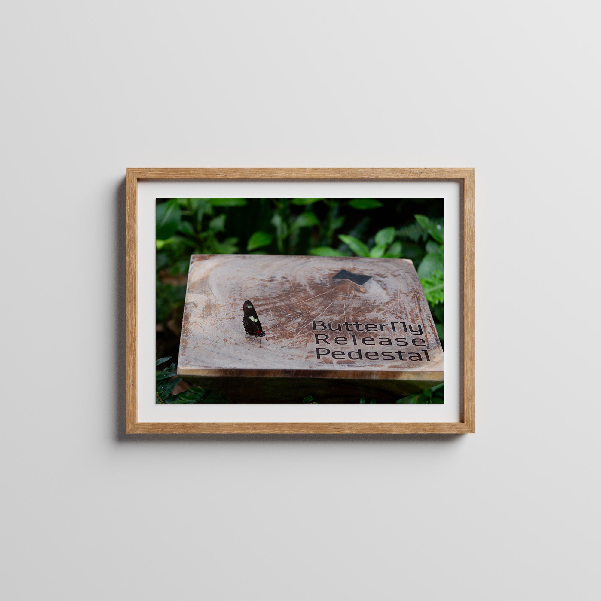 Butterfly Release Pedestal