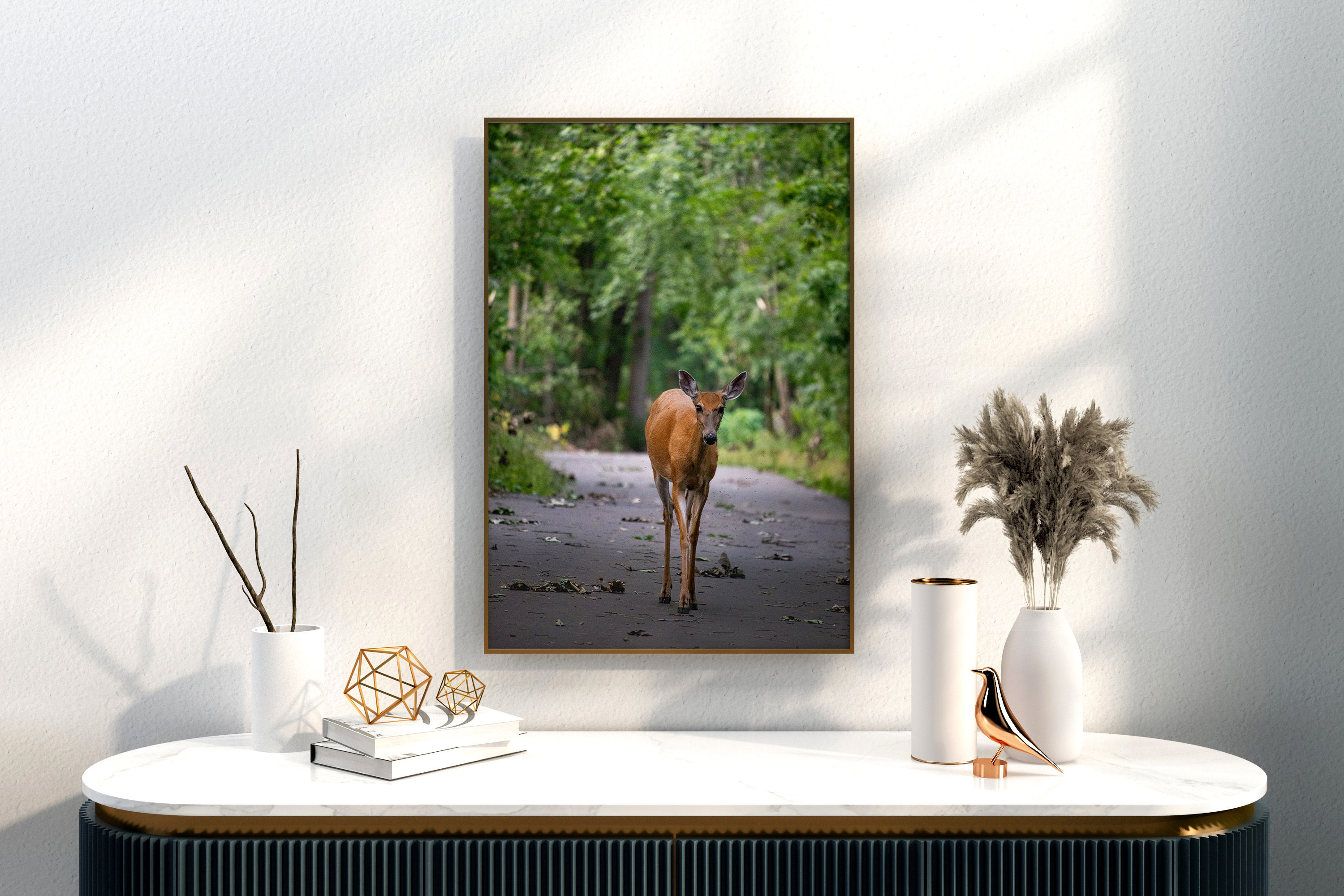 A Deer Walking A Path