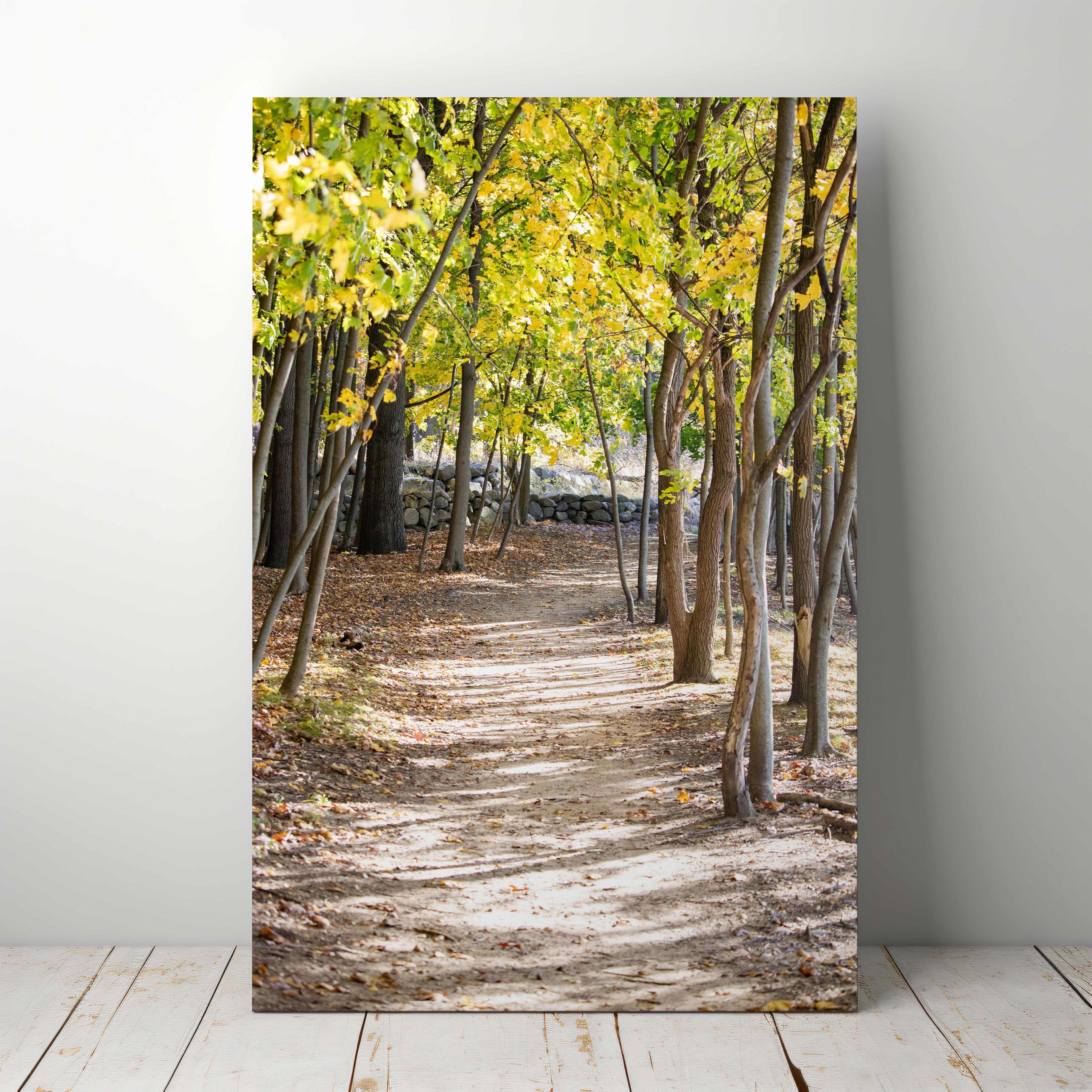 Autumn Trail Path (Canvas)