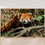 Thumbnail: Red Panda Stroll