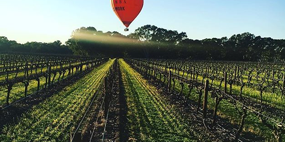 The Willows Wine Lunch