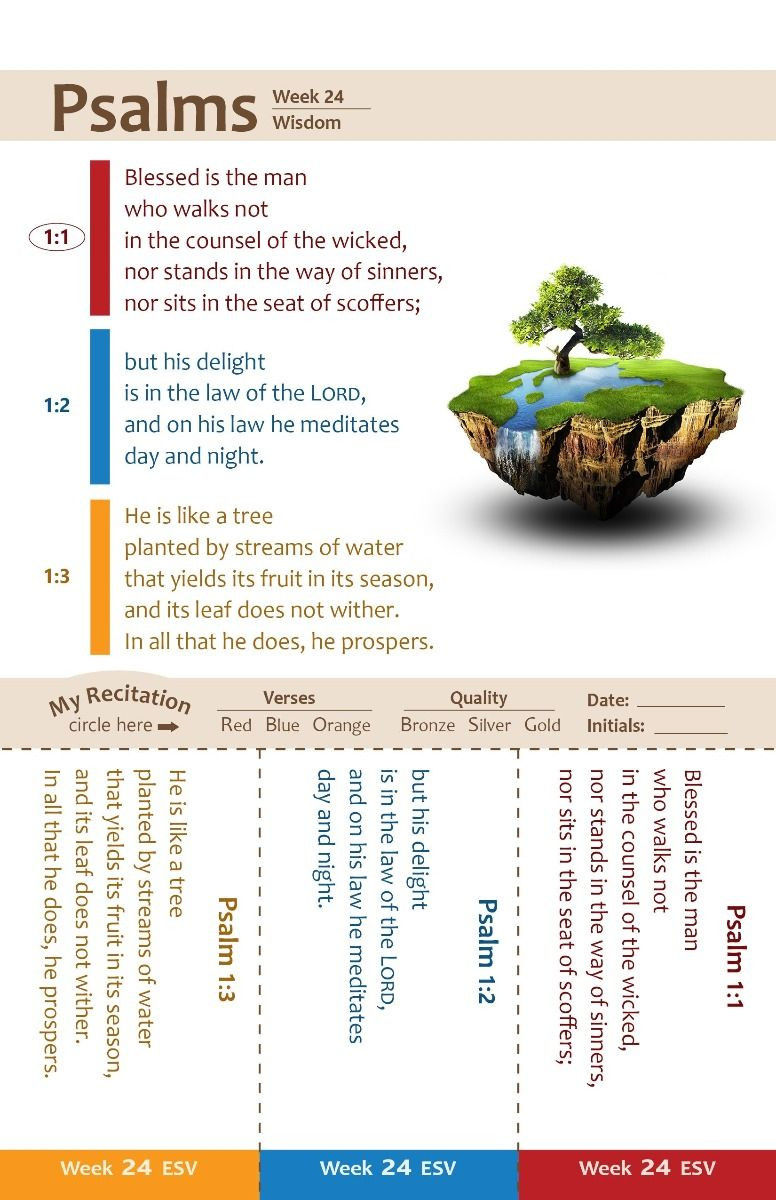 Thumbnail: SwordGrip OldTestament: Vol 1:80 Verses from Genesis to Psalms NKJV