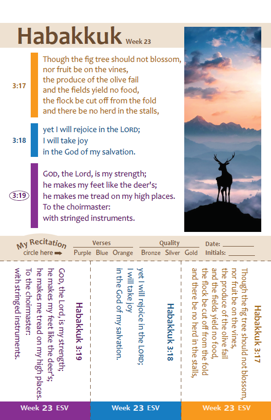 Thumbnail: SwordGrip OldTestament: Vol 2:81 Verses from Proverbs to Malachi  NKJV