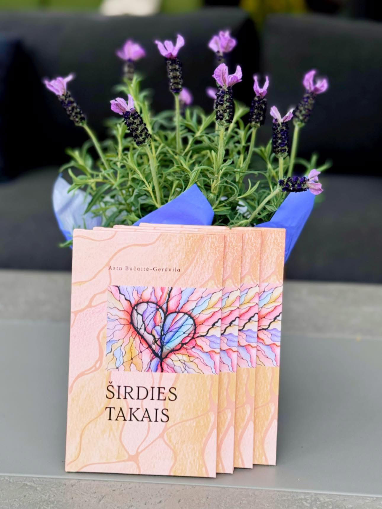 Book. Sirdies takais. Asta Bucaite-Gerdvila