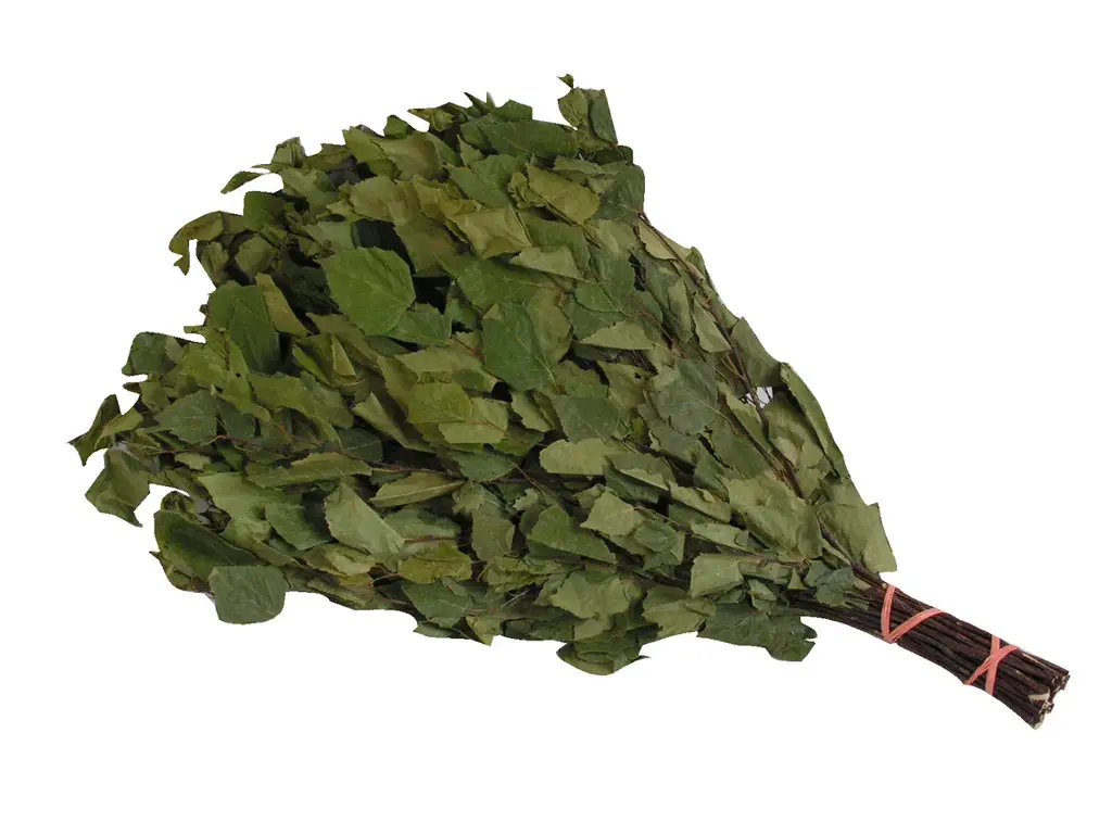 Birch Sauna Whisk (Berzas)