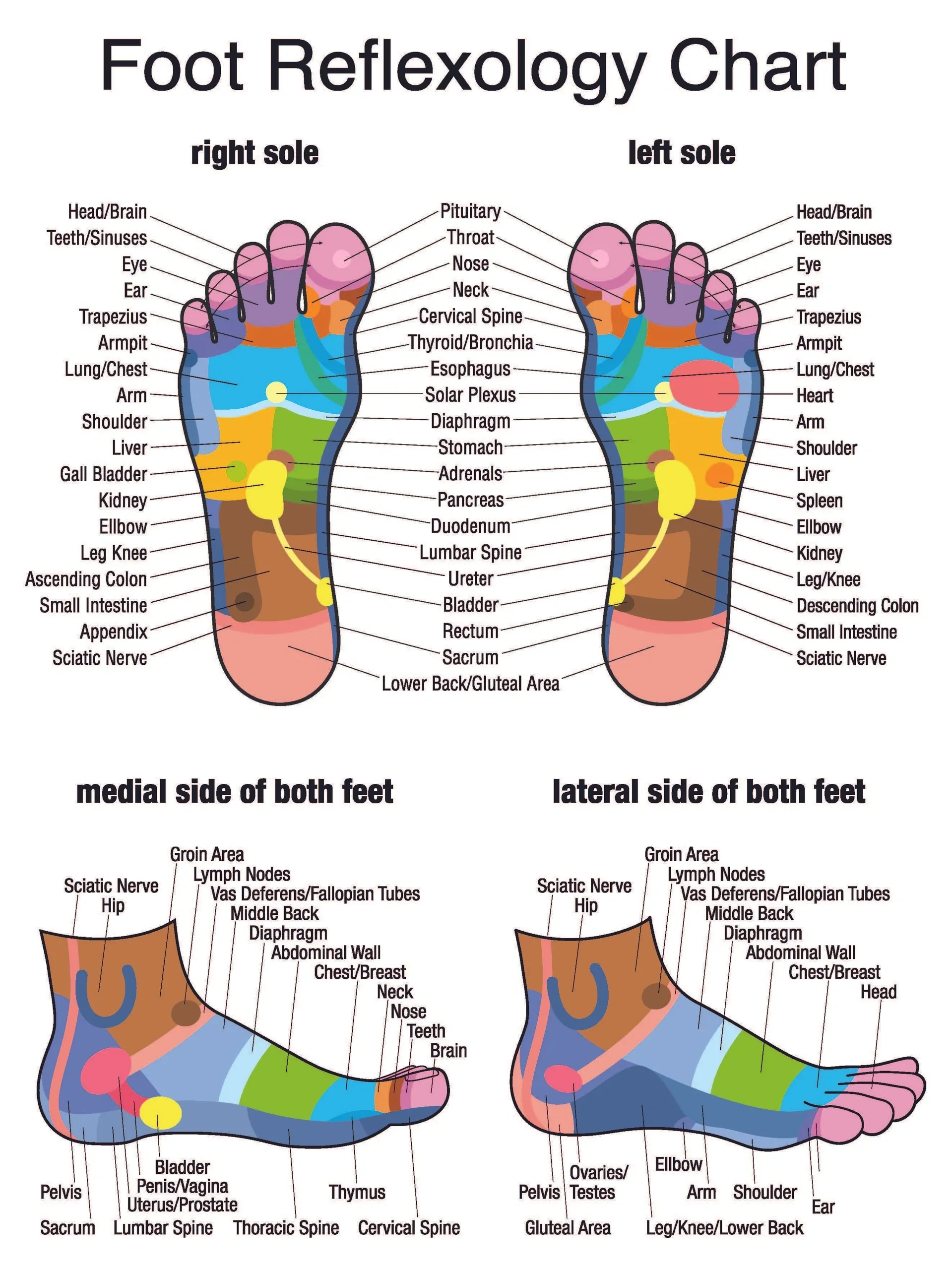 reflexology chart showing benefits of massage in different areas of the foot