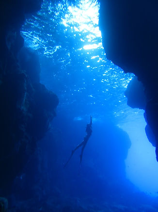 free diving big island