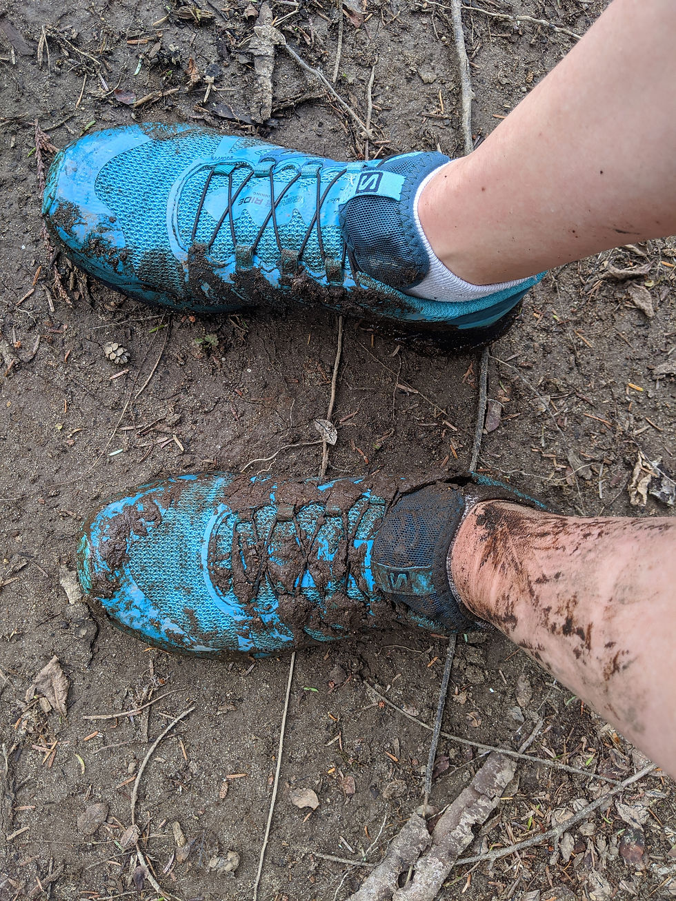 Muddy blue trail running shoes of a person's legs standing on dirt and roots, close-up outdoors.