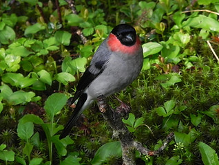 DSCN7229.JPG