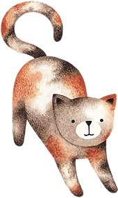 Dibujo del gato   