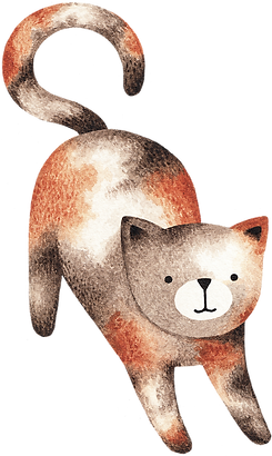 Drawing of Cat