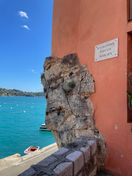 IMG_0900.jpeg