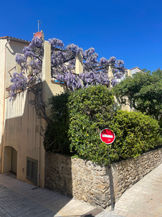 IMG_0487.jpeg