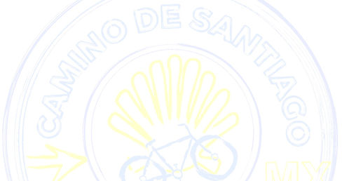 LOGO MAPA DE BIPS WEB COLOR PANTONE 1_edited_edited_edited.jpg