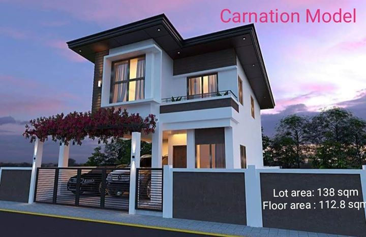 Carnation
