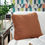 Thumbnail: Caygan Velvet Accent Pillow Set (2)