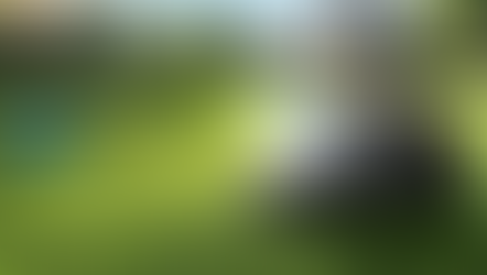 Eufy E15 Robot Mower Review