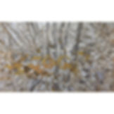 aea5c1e4-139c-4665-8d35-4dcdea855e31