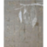 Untitled 24462 | SOLD