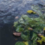 3fff20a7-42b0-4cea-8646-9484d783a0d5