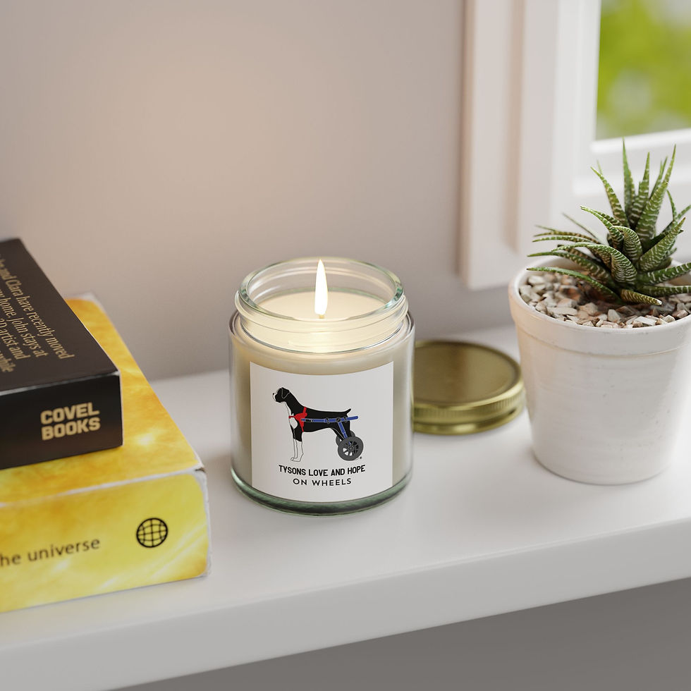 Thumbnail: Scented Candles, Coconut Apricot Wax (4oz, 9oz)