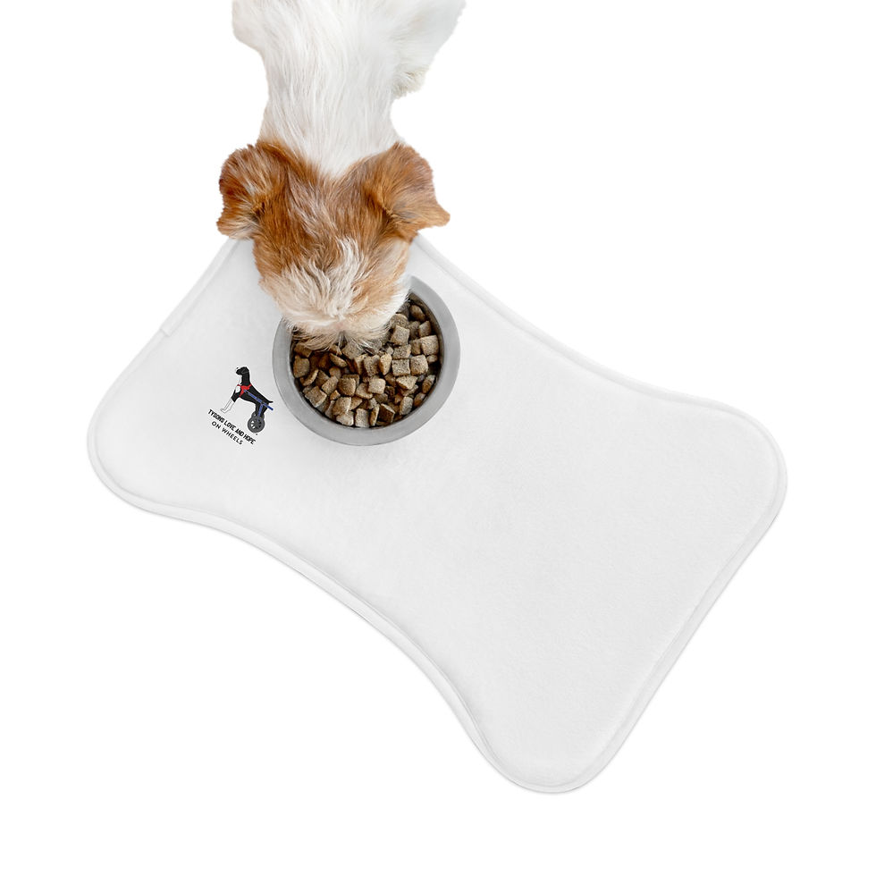 Thumbnail: Pet Feeding Mats