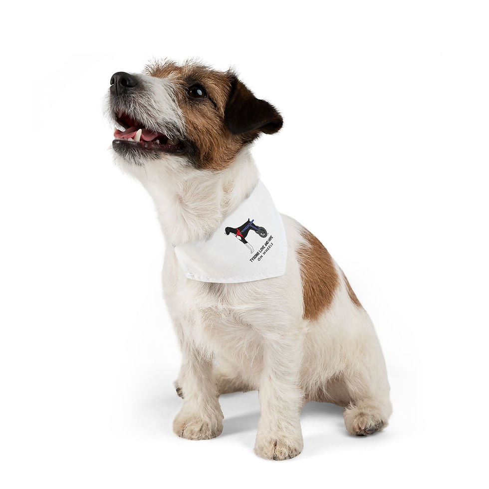 Thumbnail: Pet Bandana Collar