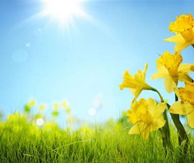 Spring scene