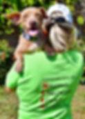 tan dog looking back 2.jpg