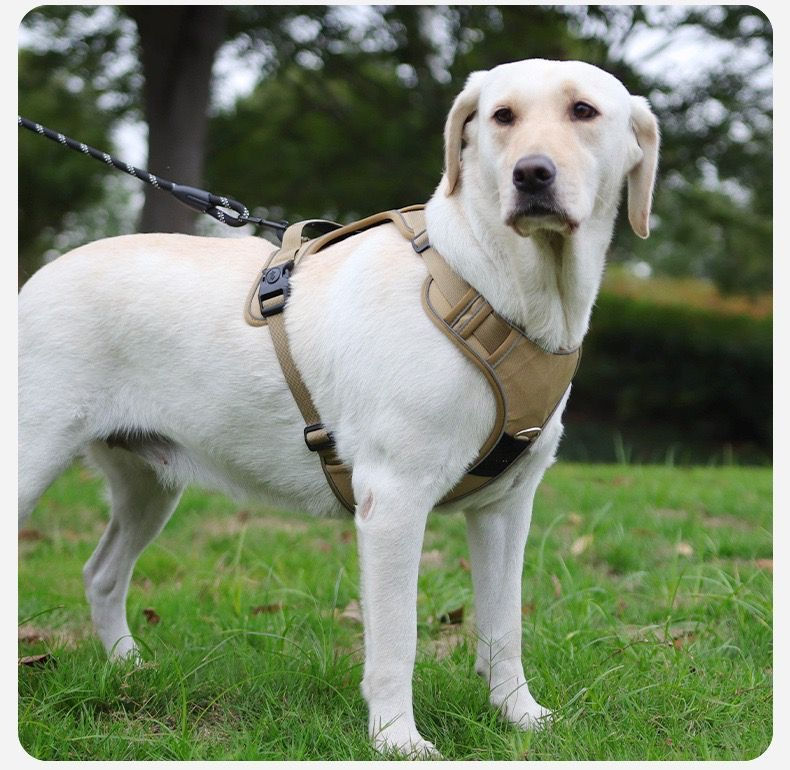 Thumbnail: Dog Harness with Airtag Holder and Leash Set-Premium Oxford Breathable Material 