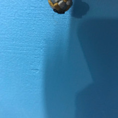 IMG_9751.jpeg