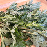 【中医学ノート vol.2】めぐる季節と「命」のサイクル