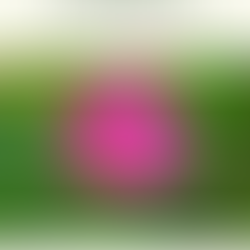 【残席2名様】6月12日（金）・手づくりスキンケWS