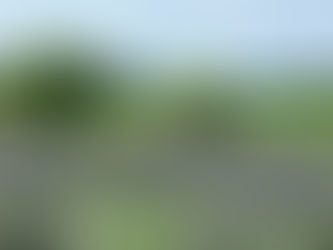 「聖（ひじり）」へ還る ── 聖庵が提案する、本来の自分へ還るハーブセラピー