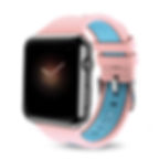 Apple Watch band