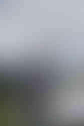 Wedding guest dancing, Jo-Anna Billington Wedding Photographer Yorkshire