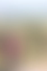 The true story behind The Place of Endless Lights: Part III: Facing fear in our children