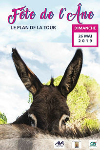 2019_Anes_affiche_A4_V2.jpeg