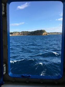 Nel blu dipinto di blu