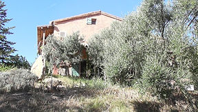 S1260036.JPG