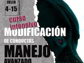 #ultimaoportunidad