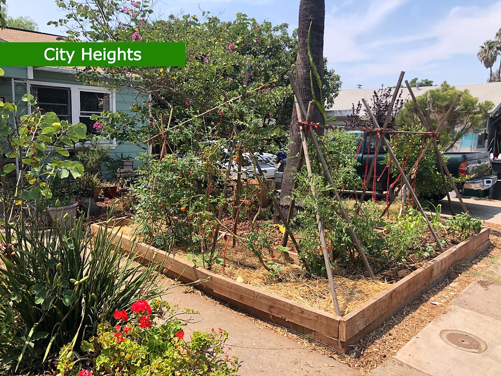 Sustainability on a Budget