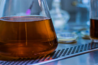 Controle de qualidade na cerveja: Analisar só quando há problema?