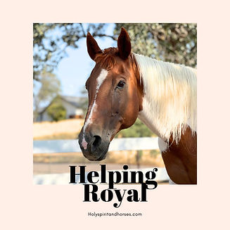 Holyspiritandhorses.com.jpg