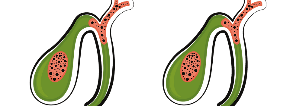 Inserir um título (2).png