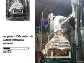 Hongdefa 120tpd maize mill in Africa