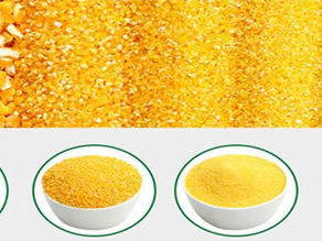 Exploring the Potential of Maize Flour Mills: Boosting Output for Sustainable Food Production