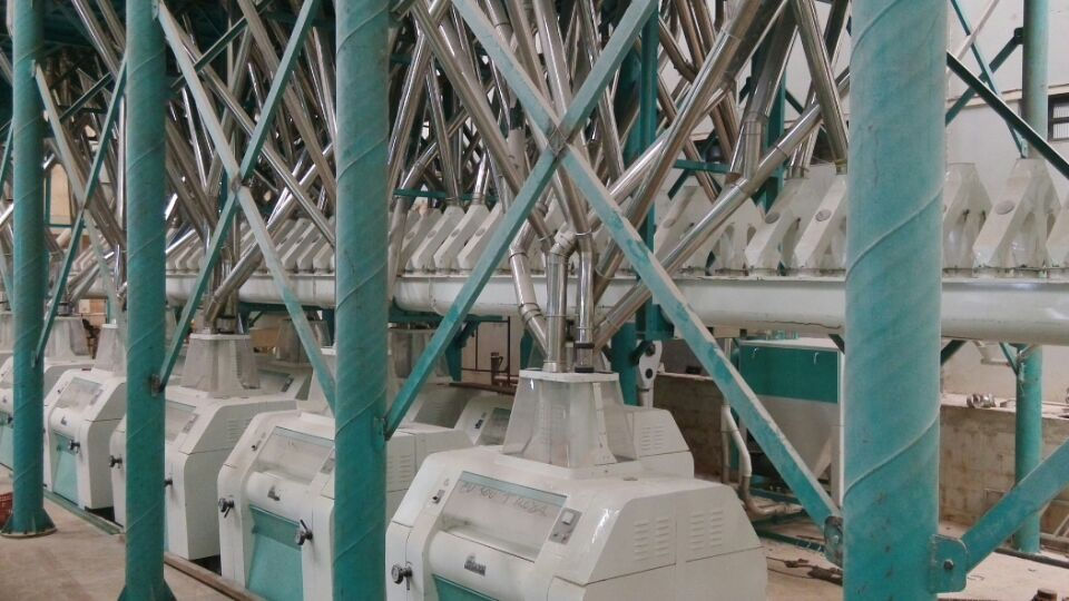 200t/24h wheat mill